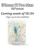 Painted Paisley