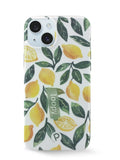 Lemon Grove