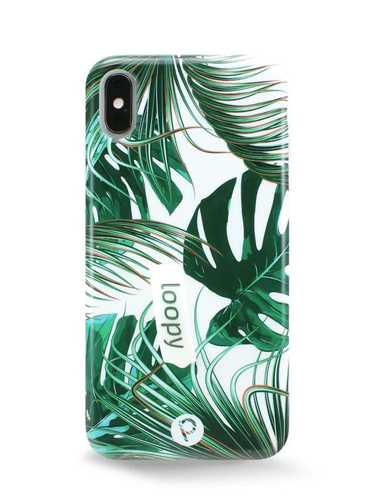 Monstera