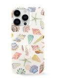 Coastal Shells