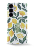 Lemon Grove