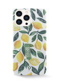 Lemon Grove