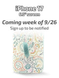 Painted Paisley