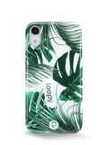 Monstera